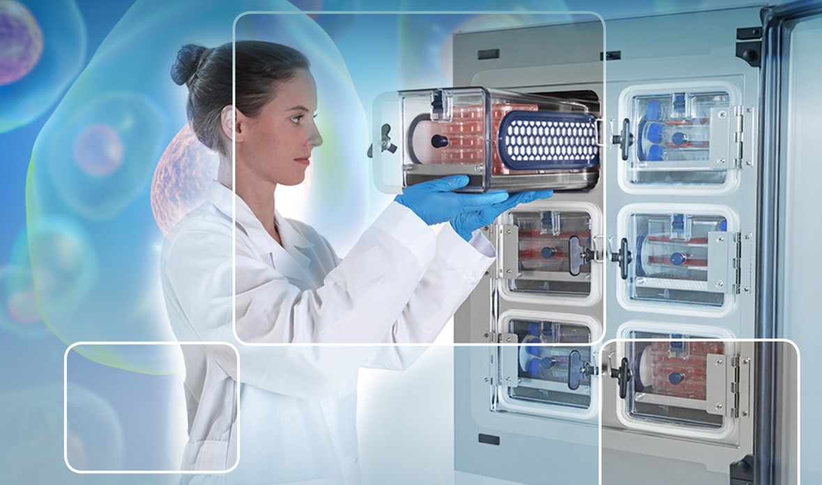 molecular diagnostics, immunodiagnostics, and clinical chemistry
